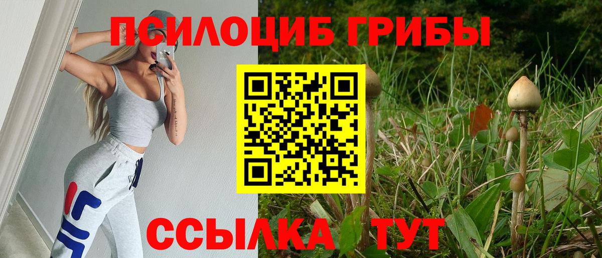 Обнинск  Псилоцибиновые грибы мицелий  как найти закладки  Вход с VPN 